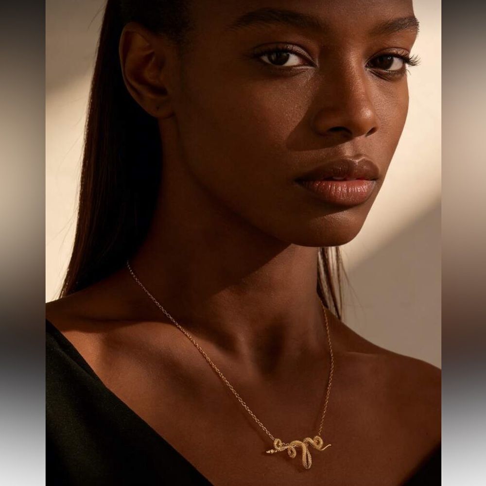 Chic Snake Pendant Necklace N1210
